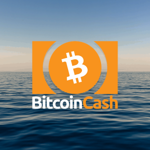 Bitcoin Cash Price: fall to $208