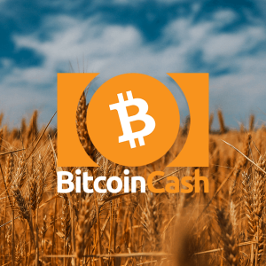 Bitcoin Cash price rests at $383