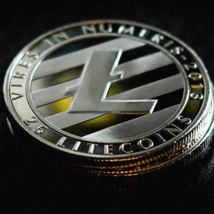 Litecoin price falls to $43, what to expect?