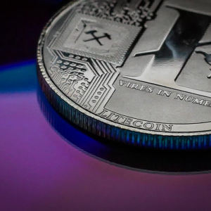 Litecoin LTC price found strong support at $42 but further losses are still on the table