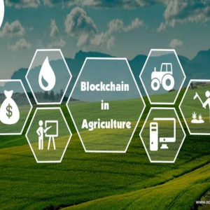 Blockchain-based supply chains to increase farmer’s share to 50%