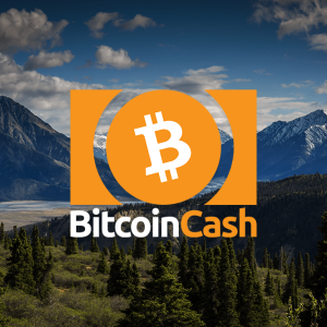 Bitcoin Cash Price: falls under $240