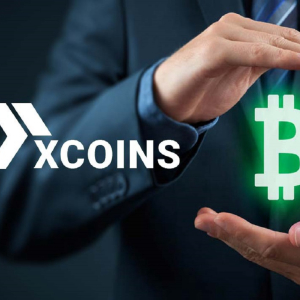 A Beginner’s Guide to Xcoins