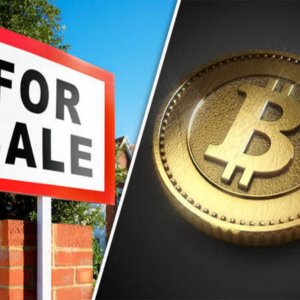 Real estate or bitcoin – Who will win the ultimate race?