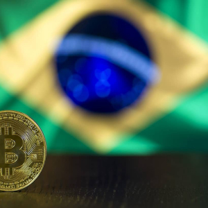 Cryptos in Brazil: Political party calls cryptocurrency a fool’s gold