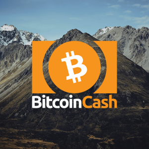 Bitcoin Cash price meets $376.00