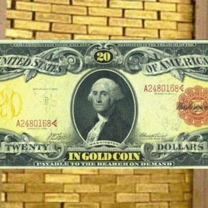 29 percent in US unaware what is US dollar backed by; study