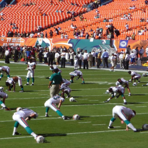 Has Litecoin’s association with Miami Dolphins misfired?