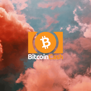 Bitcoin Cash price: recovers from fall to $206