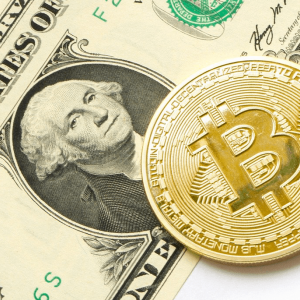 Bitcoin Cash price retraces to $244