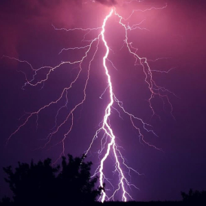 Lightning Network gets backing from Bitfinex