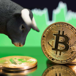 Bitcoin Touches $10,900 as Crypto Market Cap Gains $12 Billion (Market Watch)