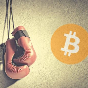 Bitcoin Continues to Fight for $9,000 As Altcoins Recover Slightly