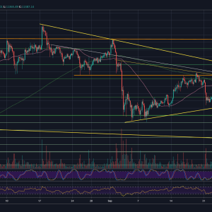 Bitcoin Price Analysis: Only $1K To 2020 High – Can BTC Reclaim $12,500 Soon?