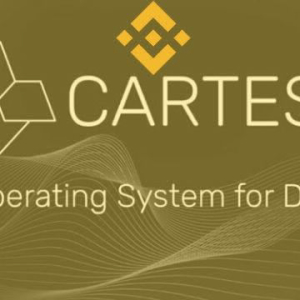 IEOs Are Not Dead: Binance Latest – Cartesi (CTSI) – Skyrockets 400% During Its First Hours Of Trading