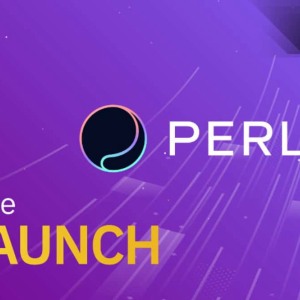 Exclusive Interview: Perlin, The Coming-Up Binance IEO, Creating Pseudo UBI For Device Owners