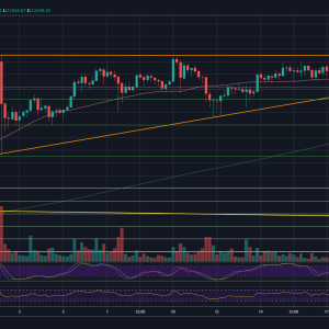 Bitcoin Eyes $10,500 After Losing Crucial Support Line: BTC Price Analysis