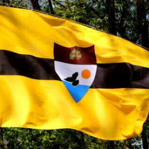 The Tax-Free Cryptocurrency-Producing Capital of The World: Vit Jedlicka Present Liberland