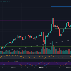 BNB Price Analysis: Binance Coin Increases 7% Following New IEO Announcement