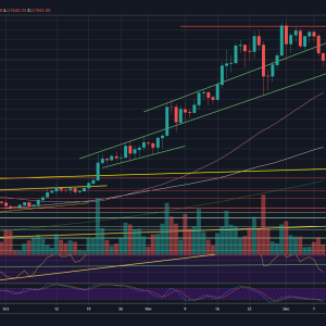 After BTC’s $2K Crash in Two Days, Will This Level Stop the Bloodbath? (Bitcoin Price Analysis)