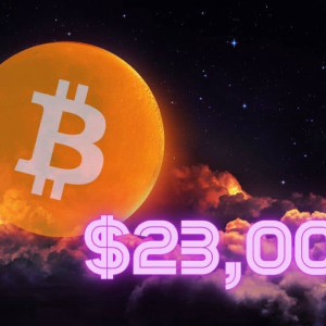 Bitcoin Price Touched $23,777: 560% ROI Since March Yearly Low