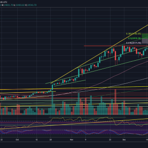 Bitcoin Just Recorded Another All-Time High: Is $25K Incoming? (BTC Price Analysis)