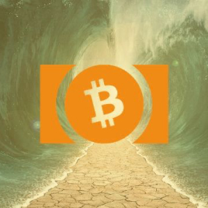 Why Bitcoin Cash Holders Are in For More Free Coins This November