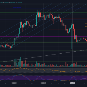 After Surging 33% in a Week, What’s Next for Cardano? (ADA Price Analysis)