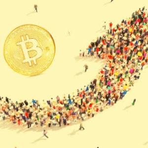 81% of Bitcoin Holdings Are Currently Profitable as Anticipation Builds for The Halving