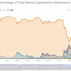 Bitcoin Dominance is Growing: What does it mean for the long term?