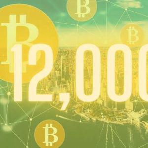 Bitcoin Price Breaks $12K To New 2020 High: New Bull Run Gets Underway?