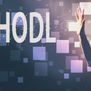 Happy Birthday HODL: The Bitcoin Long-Term HODLing Strategy Celebrates 6 Years