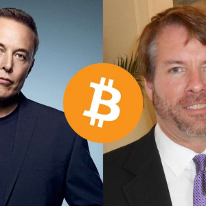 Speculations Run Rampant as Elon Musk Asks Michael Saylor About Bitcoin