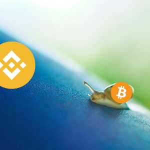 Binance Coin (BNB) Back To Top 5 After 9% Weekly Gains: Bitcoin Price Stagnant (Sunday’s Market Watch)