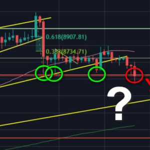 Bitcoin Price is Struggling To Maintain The Past Week’s Low: $8000 Soon? BTC Analysis & Overview