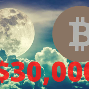 Bitcoin Price Inches Away From $30,000: Records 700% ROI Since March Low