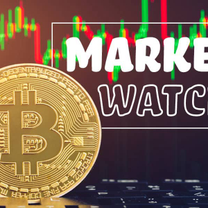Bitcoin Stabilizes Above $7,000 As Dominance Continues To Rise: Friday Crypto Market Watch