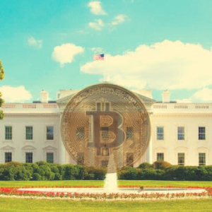 Bitcoin in the White House: Democrats Seek Further Details On Terrorist’ Account Seizure