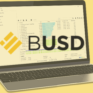 Justin Sun’s BitTorrent Introduces Binance USD (BUSD) As A Payment Option