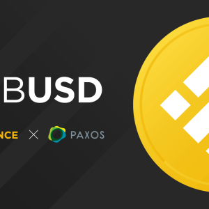 Binance All Around: The Exchange Launches a New USD-Backed Stablecoin (BUSD)