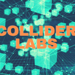 Crypto and Blockchain Venture Builder Collider Labs Closed A $1 Million Investment Round