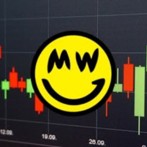 Grin (GRIN) Value Drops 98% in His First Day of Trading: Here is Why
