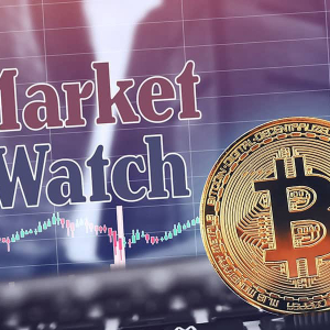 Bitcoin Struggling At $7200 While Altcoins Recover From Sell-Off: Crypto Market Watch