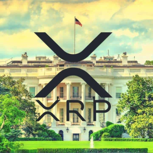 Ripple Supporters File a Petition for the White House to Declare XRP a Currency