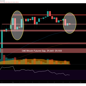 Bitcoin Price Analysis: BTC Sees Major Bearish Signal Flash, Will This Whale Pattern Help?