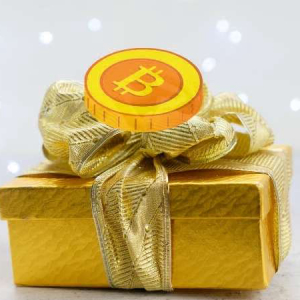 Not Possible With Gold: Peter Schiff Asks for Bitcoin Gifts for His Son’s Birthday