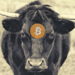 Bullish for Bitcoin? Twitter Sentiment and BTC Deposits on Exchanges Dropping