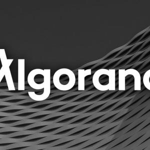A new venture studio is aiming to foster the development of the Algorand ecosystem