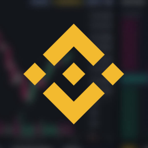 Most of the market’s IEO returns this year came from Binance