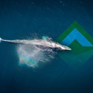 MakerDAO whale with 94% voting power reduces Dai stability fee by 4%